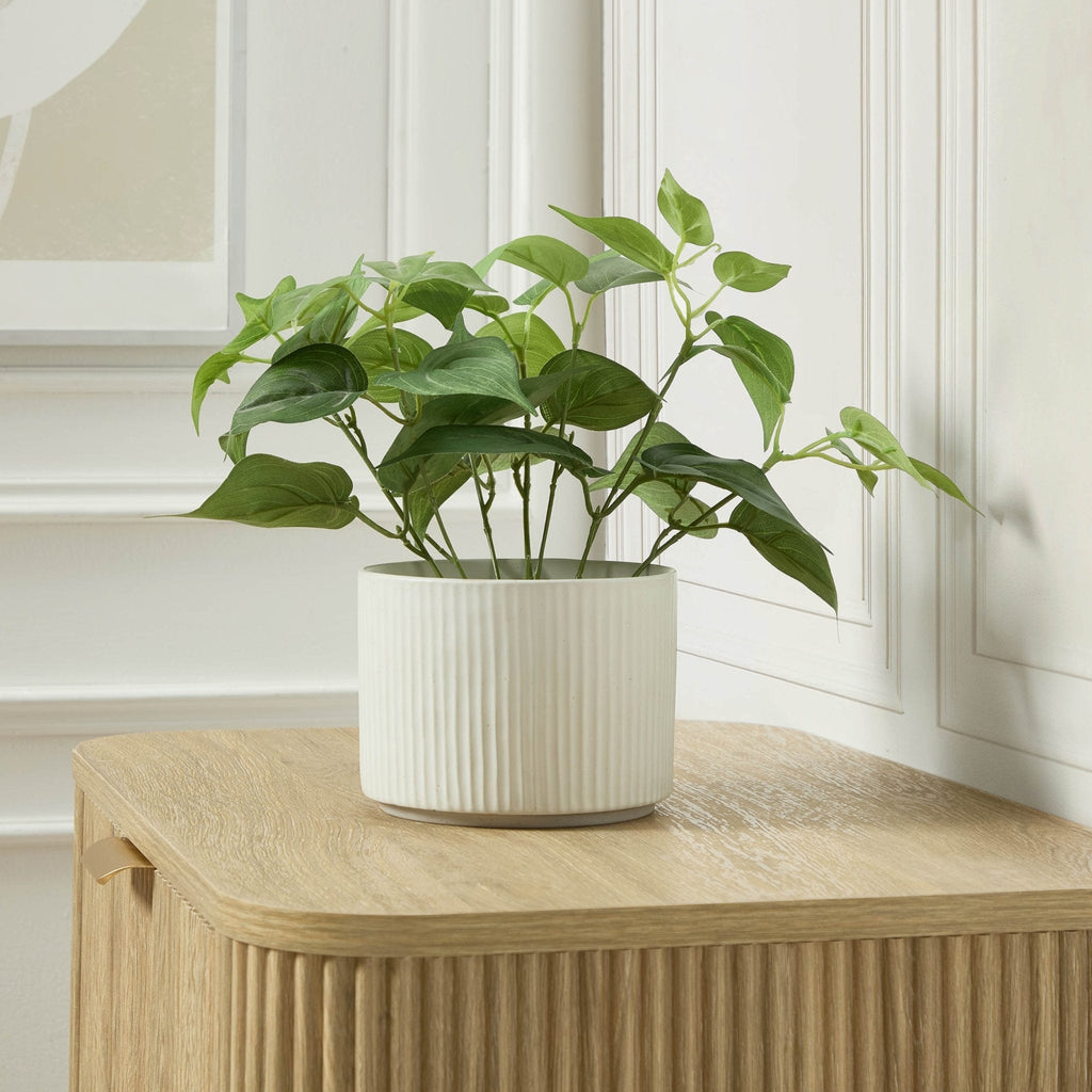 Flora Ribbed Clay Plant Pot - White
