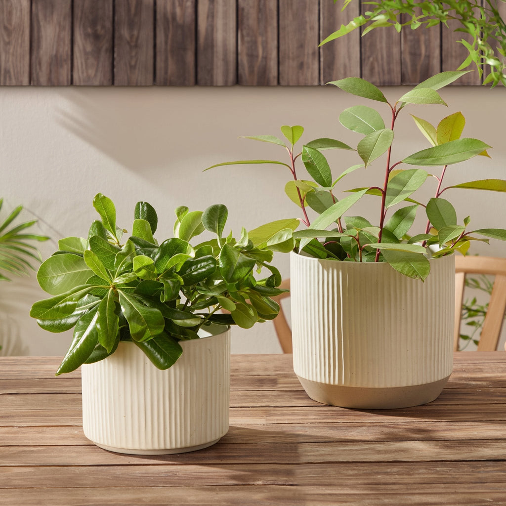 Flora Ribbed Clay Plant Pot - White